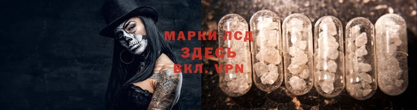 хмурый Богданович