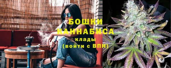 гидропоника Рославль